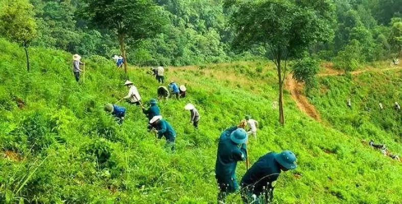 Quỹ bảo vệ và phát triển rừng tỉnh Lâm Đồng tổ chức chương trình truyền thông: “Chi trả dịch vụ môi trường rừng đồng hành cùng học sinh đến trường” năm 2022