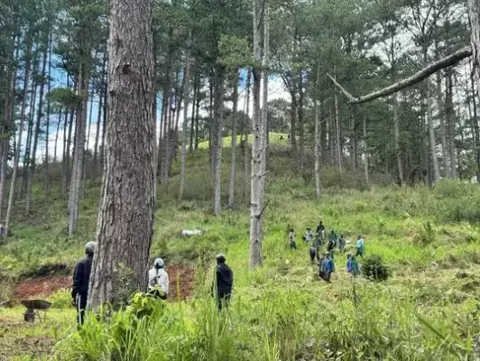 Khi người dân được hưởng lợi từ rừng