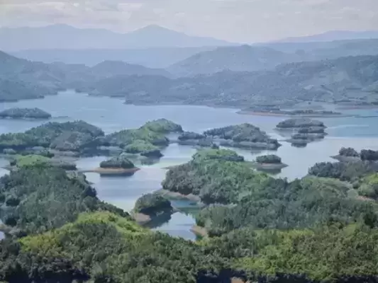Quỹ bảo vệ và phát triển rừng: Tăng cường kiểm tra, giám sát việc quản lý sử dụng tiền dịch vụ môi trường rừng trên địa bàn tỉnh Lâm Đồng
